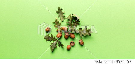 Branch with green oak tree leaves and acorns on colored background, close up top view 129575152