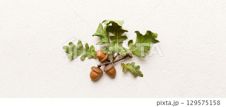 Branch with green oak tree leaves and acorns on colored background, close up top view 129575158