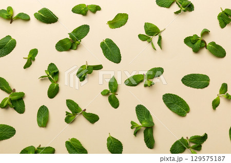 Fresh green mint leaves on white background, Mint leaves pattern Top view with copy space 129575187