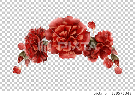 Red carnation flower,buds,petals in semi-circular frame as a symbol who died in the world war,respect,congratulations to veterans on the day of remembrance and mourning.Isolated Watercolor clipart  129575343