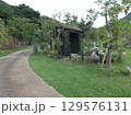 緑の小道が続いていく様子です。 129576131