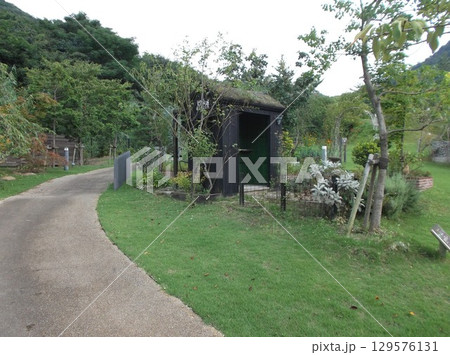 緑の小道が続いていく様子です。 緑の小道が続いていく様子です。 129576131