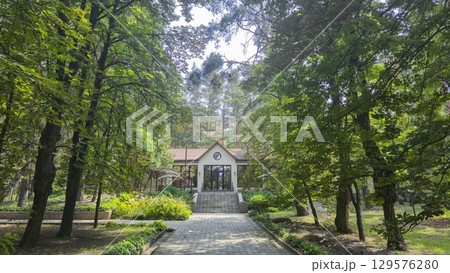 Park area with tall pine trees and the road to the house. Tourist recreation. 129576280