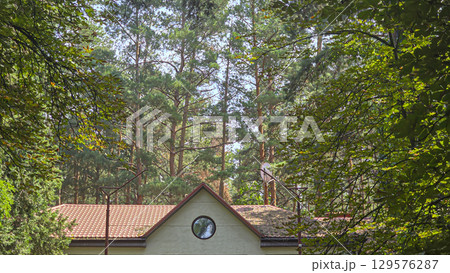 Tall trees and blue sky, visible through pine trees. Tourist recreation. Tall trees and blue sky, visible through pine trees. Tourist recreation. 129576287
