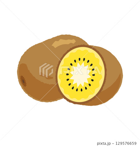 丸ごとゴールドキウイと半分に切ったゴールドキウイ - フラットイラスト 丸ごとゴールドキウイと半分に切ったゴールドキウイ - フラットイラスト 129576659