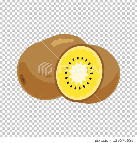 丸ごとゴールドキウイと半分に切ったゴールドキウイ - フラットイラスト 丸ごとゴールドキウイと半分に切ったゴールドキウイ - フラットイラスト 129576659