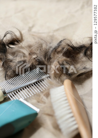 自宅でセルフカットした犬の毛とトリミング用品 129577382