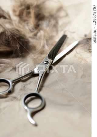 自宅でセルフカットした犬の毛とトリミング用スキバサミ 自宅でセルフカットした犬の毛とトリミング用スキバサミ 129578767