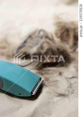 自宅でセルフカットした犬の毛とトリミング用バリカン 129578816