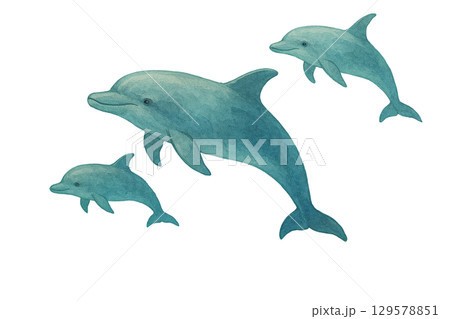 イルカの群れの切り抜きイラスト（背景透過PNG） 129578851