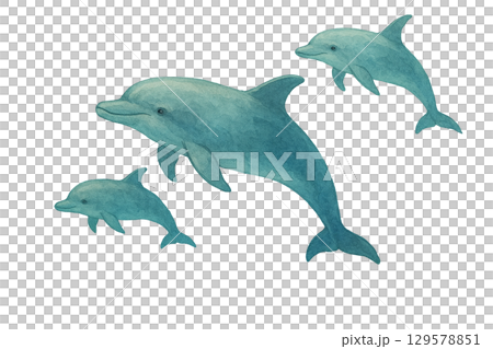 イルカの群れの切り抜きイラスト（背景透過PNG） 129578851