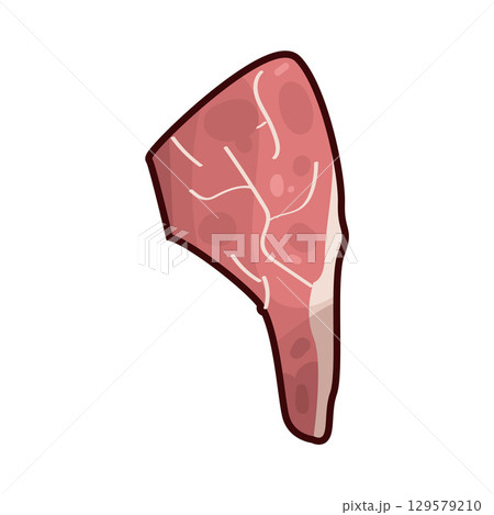 illustration of meat 129579210
