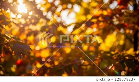 Abstract autumn background with golden sunlight shining through blurred leaves, beautiful fall season bokeh with lens flare and warm colors Abstract autumn background with golden sunlight shining through blurred leaves, beautiful fall season bokeh with lens flare and warm colors 129579237