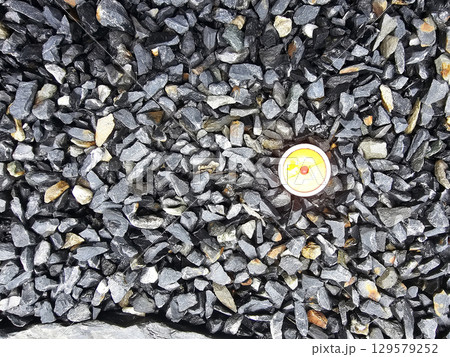 Termite Detection Sensor on Flake Stone Ground. 129579252