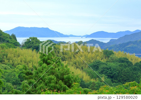緑が鮮やかな五月下旬の しっとりとした瀬戸内風景 緑が鮮やかな五月下旬の しっとりとした瀬戸内風景 129580020