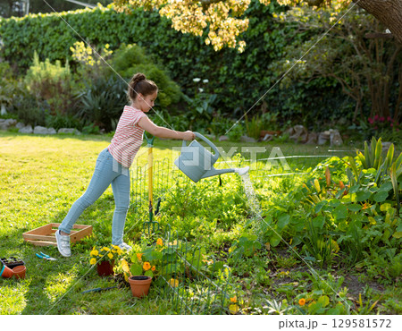 Female child pouring water from light-gray plastic watering can onto flower bed at backyard garden Female child pouring water from light-gray plastic watering can onto flower bed at backyard garden 129581572
