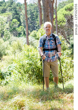 Senior man standing in sunlit pine forest holding trekking poles wearing hiking backpack and boots Senior man standing in sunlit pine forest holding trekking poles wearing hiking backpack and boots 129582056