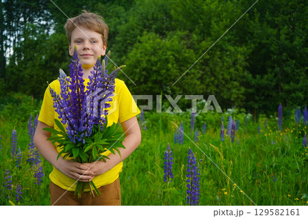 A joyful boy in a yellow shirt is captured in a scenic field of purple lupines, smiling happily. 129582161