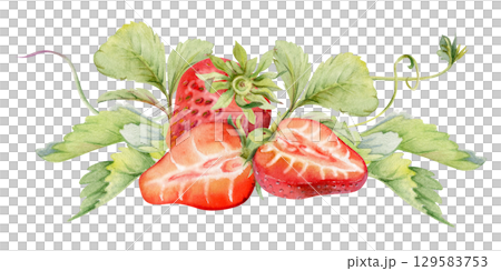 Strawberry berries full and cut in half with leaves tendrils hand drawn in watercolor, ripe forest garden harvest, heap group. Isolated botanical illustration. Dessert menu, grocery, farmers market 129583753