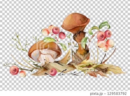 Suillus larch bolete slippery jack mushroom, cranberry lingonberry berries. Fungi on top of fallen autumn leaves with twigs needles. Hand drawn watercolor Illustration. Autumn woodland natural scene. Suillus larch bolete slippery jack mushroom, cranberry lingonberry berries. Fungi on top of fallen autumn leaves with twigs needles. Hand drawn watercolor Illustration. Autumn woodland natural scene. 129583792