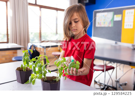 School-aged boy wearing red t-shirt examining potted plants with spray bottle at classroom table School-aged boy wearing red t-shirt examining potted plants with spray bottle at classroom table 129584225
