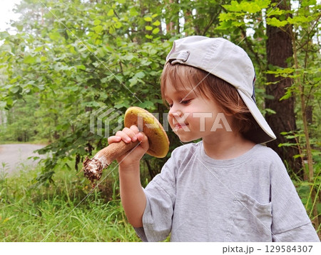 Children walking in the forest and gather mushrooms. happy child is picking mushrooms in the forest. Cute emotional boy in the forest. Children walking in the forest and gather mushrooms. happy child is picking mushrooms in the forest. Cute emotional boy in the forest. 129584307