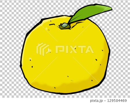 Brush Yuzu Winter Fruit Citrus Fruit Brush Yuzu Winter Fruit Citrus Fruit 129584469