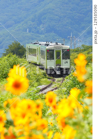 ひまわり畑を行く列車　小海線 129585090