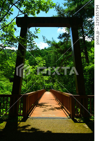夏の烏川渓谷緑地 夏の烏川渓谷緑地 129585794