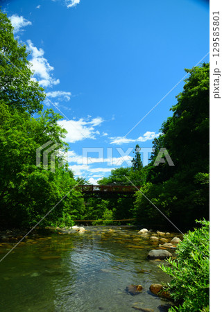 夏の烏川渓谷緑地 夏の烏川渓谷緑地 129585801