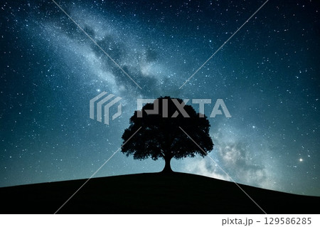 神秘的な風景　丘の上に立つ一本の木　星空 129586285