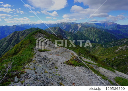 蓮華岳南陵からの薬師岳・赤牛岳・水晶岳・野口五郎岳 蓮華岳南陵からの薬師岳・赤牛岳・水晶岳・野口五郎岳 129586290