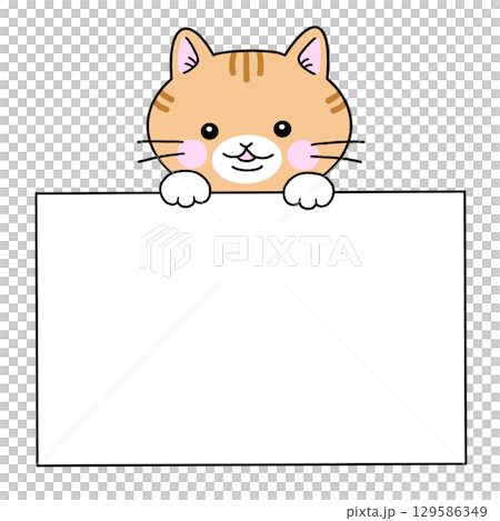 Brown tabby cat holding a white board message card 129586349