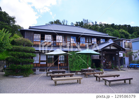 夏の天王森泉公園 129586379