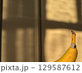 Large oval diamond ring showcased with banana in sunlight 129587612