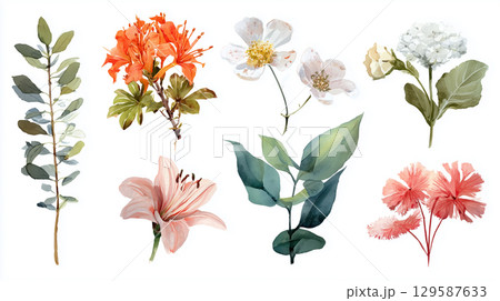 花、植物の水彩イラスト 129587633