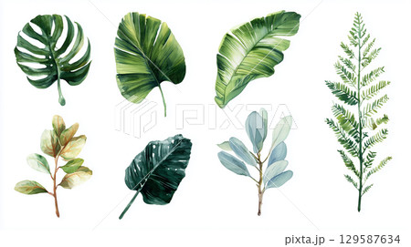 葉っぱの水彩イラスト素材 129587634