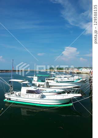 夏の深日港 夏の深日港 129588135