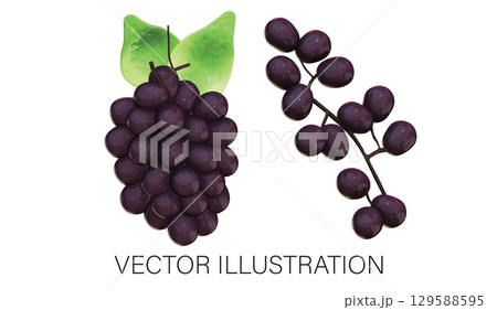 Realistic 3D Grape Set: Bunch and Twig Illustration with Transparent Background Realistic 3D Grape Set: Bunch and Twig Illustration with Transparent Background 129588595