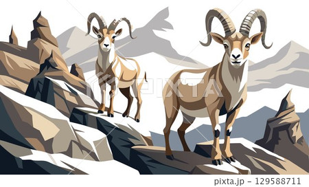 A detailed close-up of mountain goats on a rocky landscape highlights the animals' muscular physique, surefootedness, and the textures of their coats, creating a high-quality image suitable for wildl 129588711