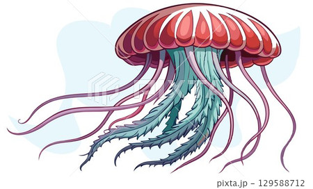 A detailed close-up of jellyfish against a white negative space highlights the intricate details of their tentacles and bell-shaped bodies, creating a high-quality image perfect for marine biology pu 129588712