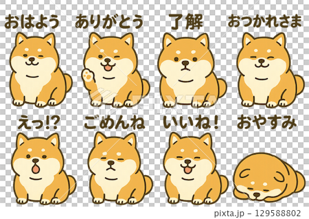 Fat Shiba Inu illustration (stamp style) 129588802