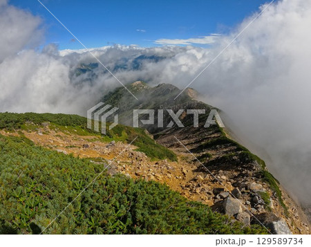 赤牛岳からの読売新道の稜線 赤牛岳からの読売新道の稜線 129589734