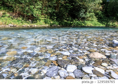 山県市、神崎川の清流 129589765