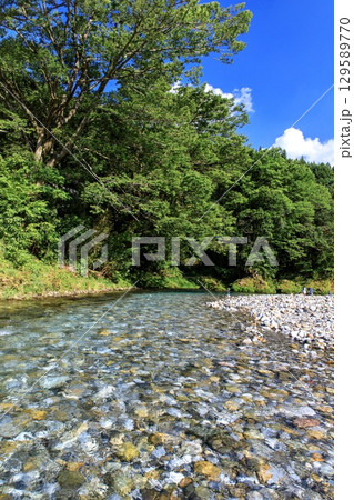 山県市、神崎川の清流 129589770