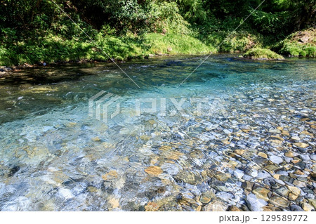山県市、神崎川の清流 山県市、神崎川の清流 129589772