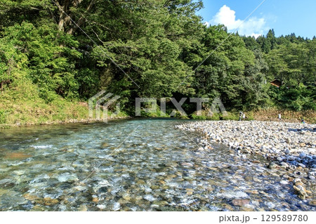 山県市、神崎川の清流 129589780