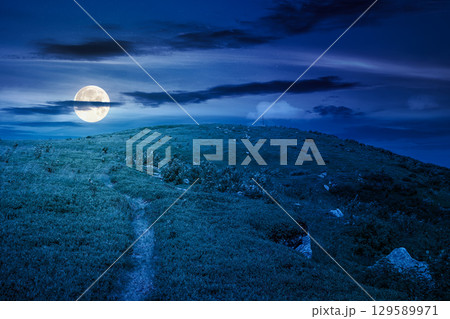 mountain landscape in summer at night. green hill and blue sky. scenic nature background for travel in alpine scenery. peaceful view in full moon light 129589971