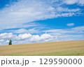 美瑛 129590000