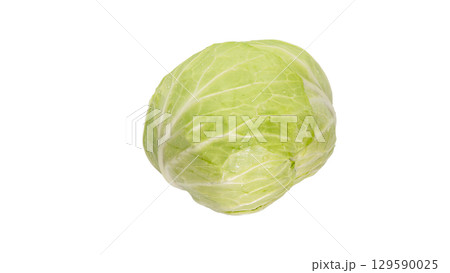 新鮮なキャベツ 新鮮なキャベツ 129590025